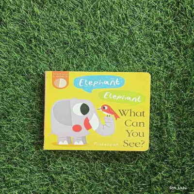 A Felt Flaps And A Mirror - Elephant Elephant What Can You See-